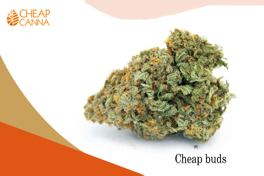 Cheap Bud, Canada: Can you Smoke a Male Weed Bud?