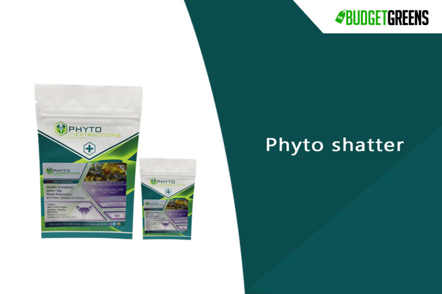 Top 6 Must-try Phyto Shatter of Today